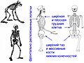 Миниатюра для версии от 12:34, 6 августа 2007