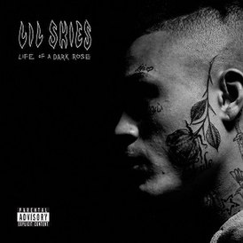 Обложка альбома Lil Skies «Life of a Dark Rose» (2018)