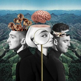 Обложка альбома Clean Bandit «What Is Love?» (2018)