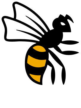 Файл:Wasps RFC logo 2021.svg