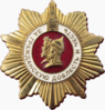 Orde van de regio Nizjni Novgorod "Voor burgerlijke moed en eer", 1st Class.png
