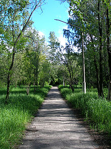 Парк Юбилейный Барнаул Фото