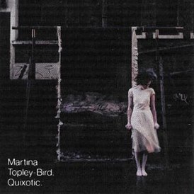 Обложка альбома Мартины Топли - Бёрд «Quixotic» (2003)