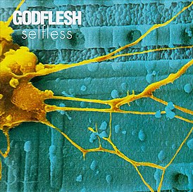 Обложка альбома Godflesh «Selfless» (1994)