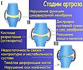 Миниатюра для версии от 20:54, 16 августа 2007