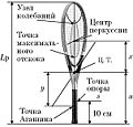 Миниатюра для версии от 18:34, 11 января 2009