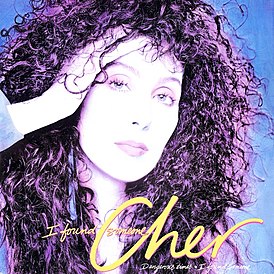 Cher'in "Birini Buldum" single'ının kapağı (1987)