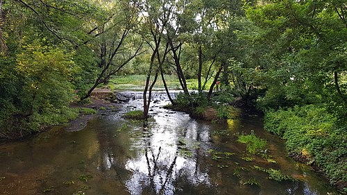 Черниговская река