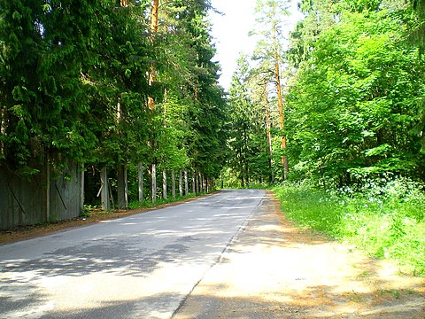 Проспект Грибоедова