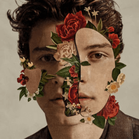 Обложка альбома Шона Мендеса «Shawn Mendes» (2018)