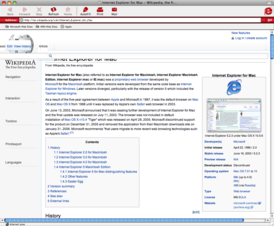 Скриншот программы Internet Explorer for Mac