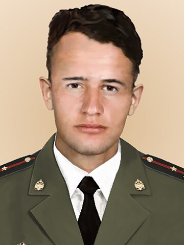 Мариенко, Виталий Леонидович