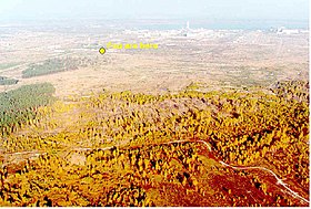 Радиоактивные частицы из за пожара и выбросов осели на деревьях и убили большие участки соснового леса