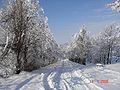 Pueblo de Pirkuli en invierno.