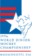 Файл:Логотип чемпионата мира по хоккею с шайбой среди молодёжных команд 1996.svg