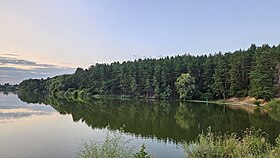 вид на парк с дамбы на реке Стрижень