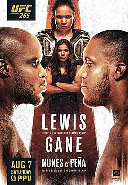 Poster UFC 265.jpg