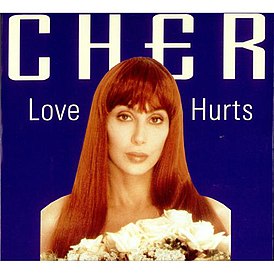 Обложка сингла Шер «Love Hurts» (1991)