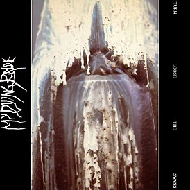 Обложка альбома группы My Dying Bride «Turn Loose the Swans» (1993)