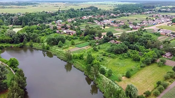 Брянское сельское поселение. Гулевка Клинцовский район. Гулевка Брянская область. Сельское поселение - село Овсорок. Село Гулевка Брянской области.