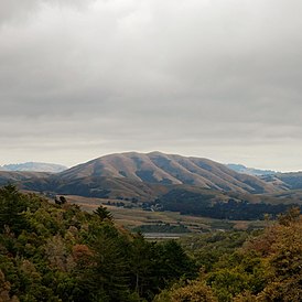 Обложка альбома Dirty Projectors & Бьорк «Mount Wittenberg Orca» (2010)