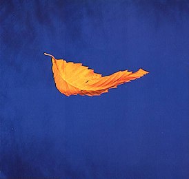 Обложка сингла New Order «True Faith» (1987)