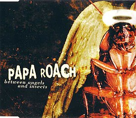 Обложка сингла Papa Roach «Between Angels and Insects» (2001)