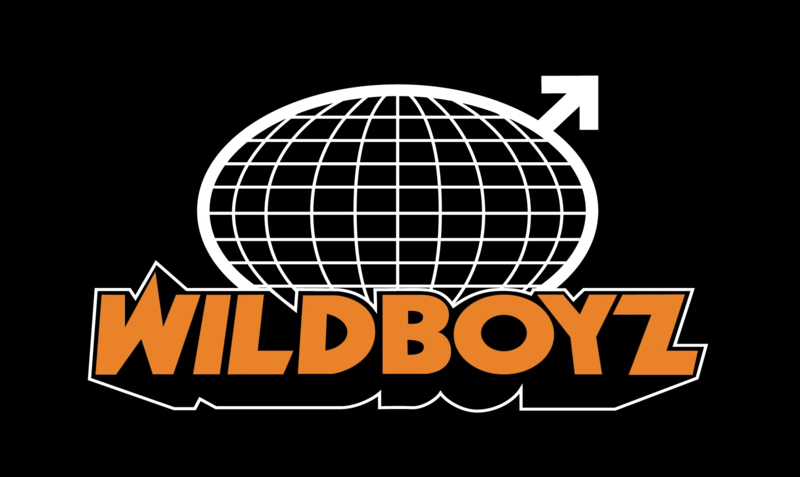 Файл:Wildboyz logo large.webp