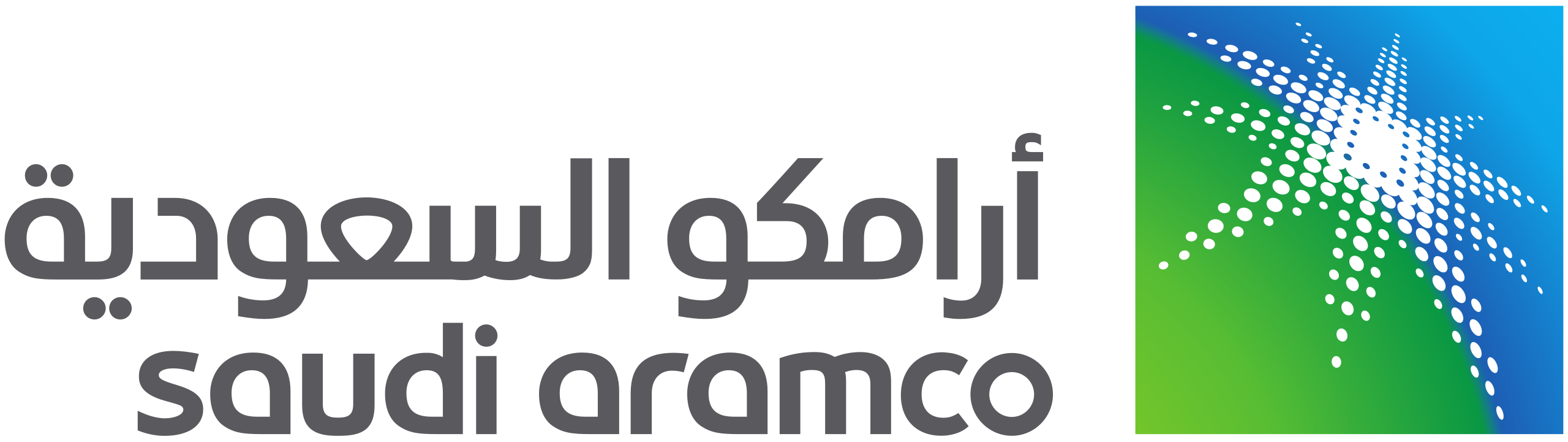 лицензии компании saudi aramco