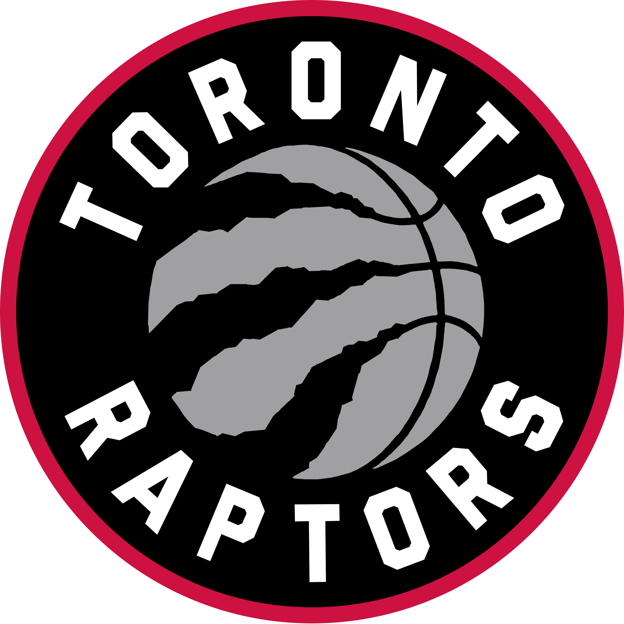 Toronto Raptors,NBA svg, basketball svg file, basketball logo,NBA fabric,  NBA basketball