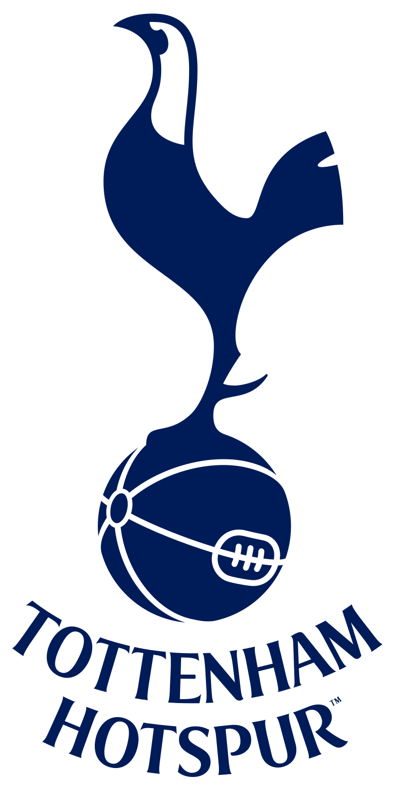 Cape Town Spurs F.C. - Wikipedia