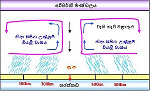 නිවර්තන සුළි කුණාටු