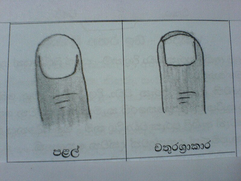 ගොනුව:Susa20.JPG