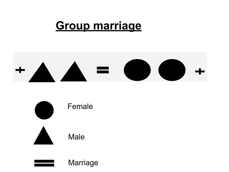 ගොනුව:Group marriage.jpg