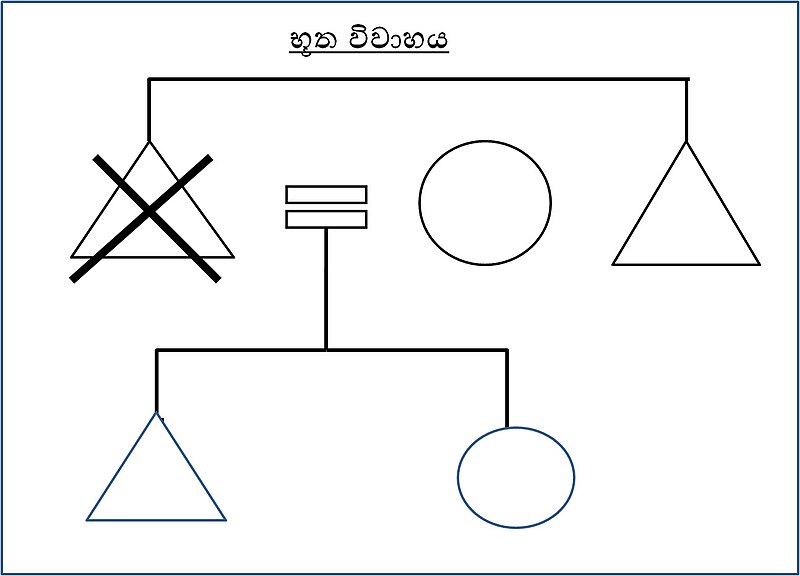 ගොනුව:භූත විවාහය.jpg