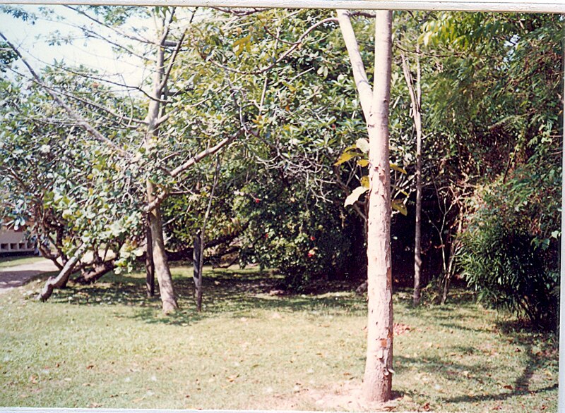 ගොනුව:Scan0012.jpg