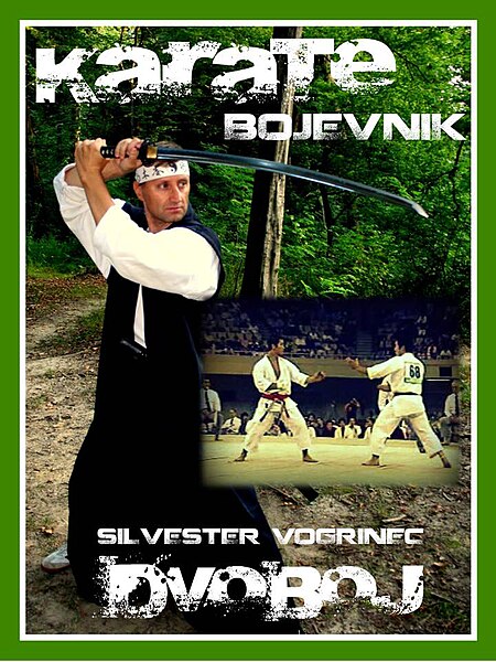 Slika:Karate bojevnik2.jpg