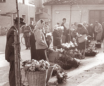 Prodaja rož na celjski tržnici 1961