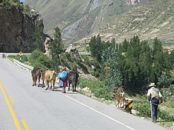 Peru