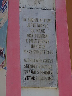 Frashërllinjtë: Origjinat, Degët e Frashërllinjve (autokton), Degët e tjera të Frashërllinjve (Familjet e Ajaz bej Tomoricës)