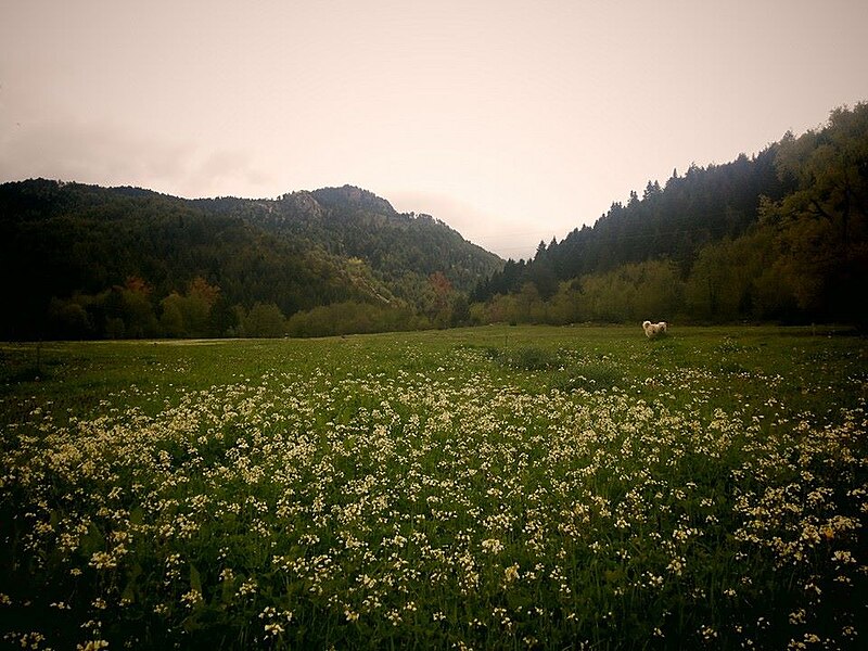 Skeda:Radanj, Leskovik.jpg