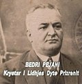 Thumbnail for Bedri Pejani