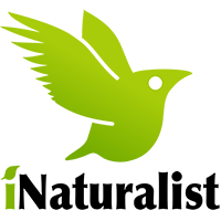 Датотека:INaturalist logo.png