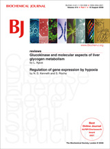 Image:Biochemical Journal Front Cover.jpg