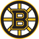 Boston bruinsi