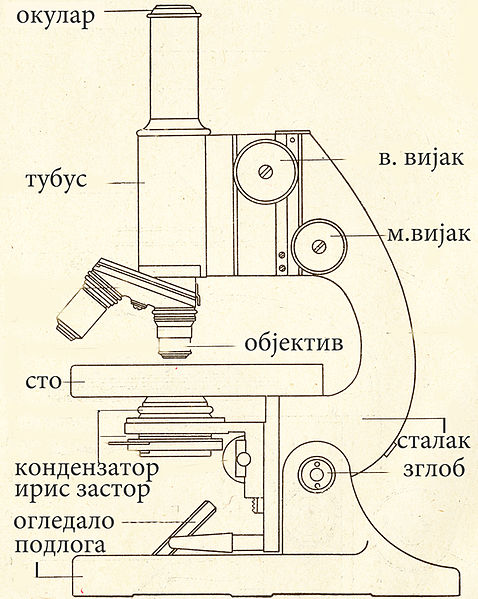 Датотека:Mikroskop 121.jpg