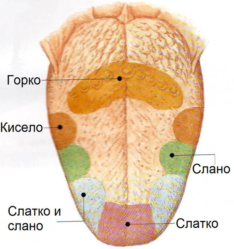 Haossova škola  800px-Image0018