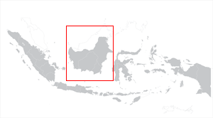 Gambar:Locator pulau kalimantan.PNG