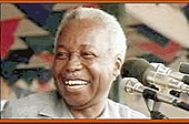 Julius Nyerere: Maisha yake, Mafanikio, Ukosoaji dhidi yake