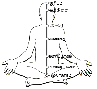 படிமம்:Kundalini.png